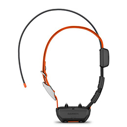 Alpha TT 25 Dog Collar